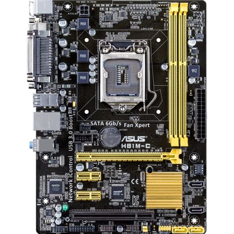 h81 support processor|CPU.
